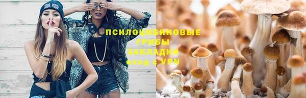 марки nbome Горнозаводск